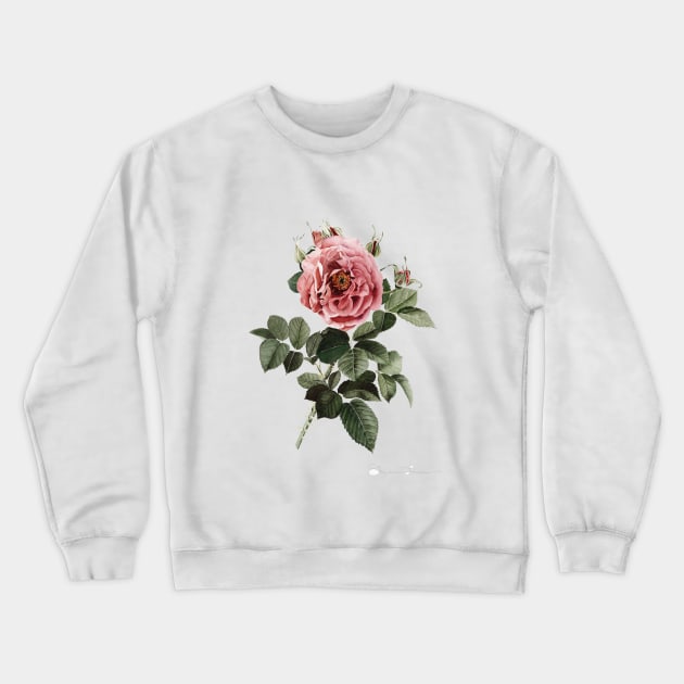 Red English Rose Crewneck Sweatshirt by ShealeenLouise